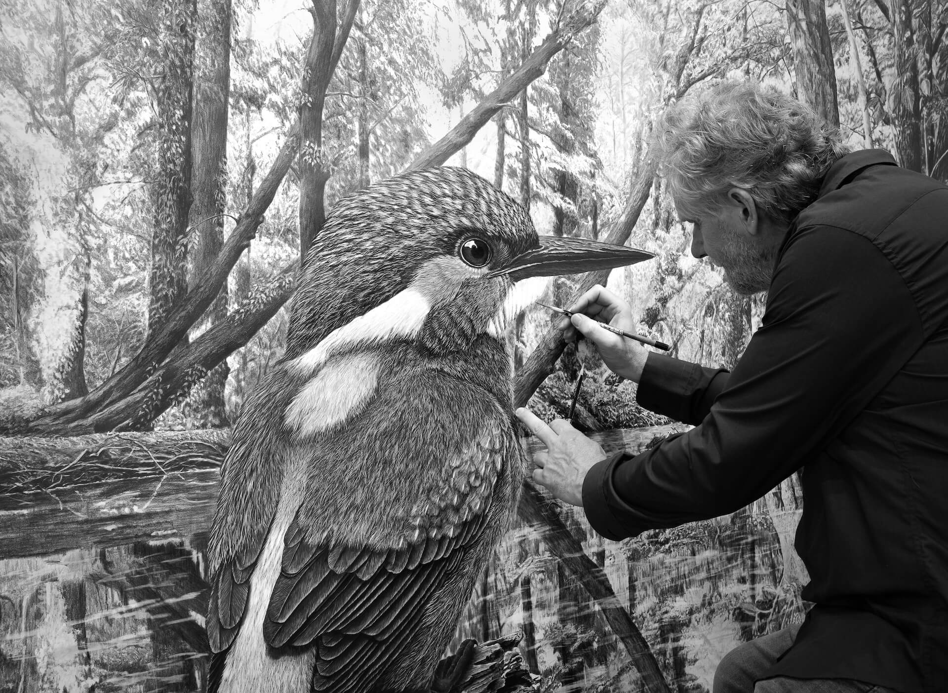 Zeichnen lernen – Schraffur und Lichtaufbau Schritt für Schritt erklärt von Ralf Wilhelm Schmidt