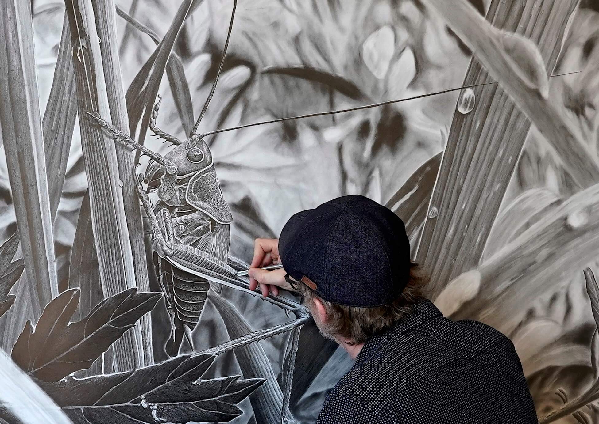 Bleistiftzeichnung-zeichnen-lernen