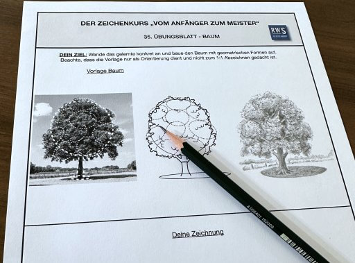 3 Schritte Baum zeichnen