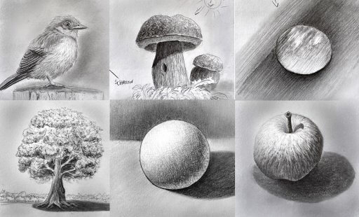 Zeichenkurs "Vom Anfänger zum Meister", zeichnen lernen