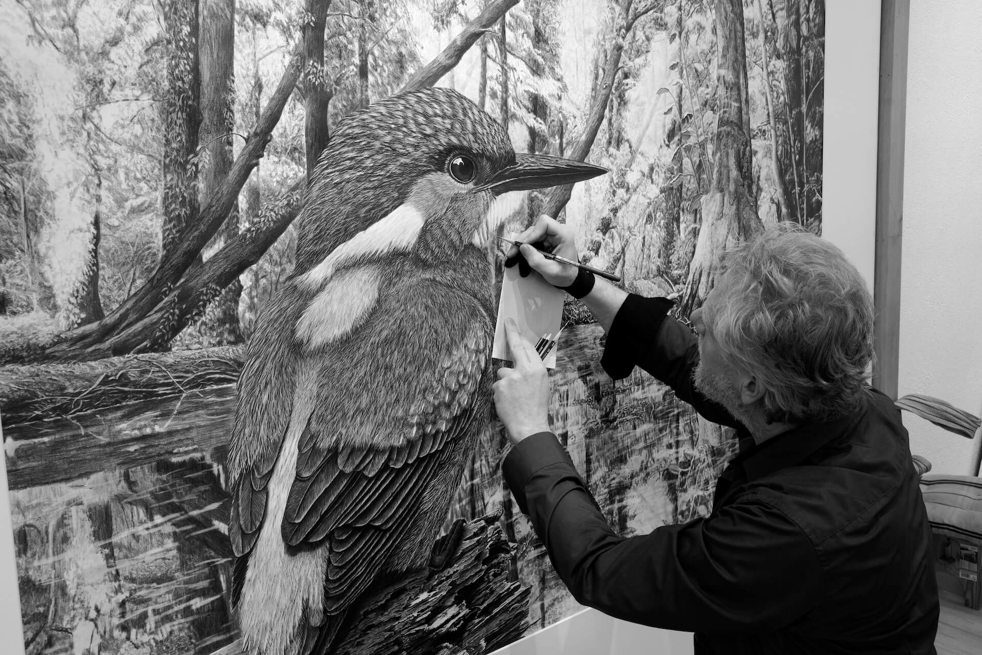Eisvogel realistische Zeichnung von Ralf Wilhelm Schmidt