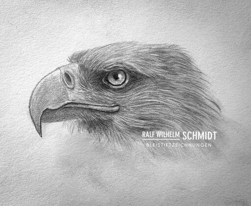 Der Adler Bleistiftzeichnung