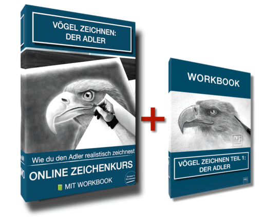 Adler Zeichenkurs