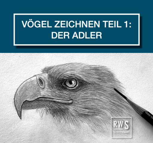 Adler realistisch zeichnen