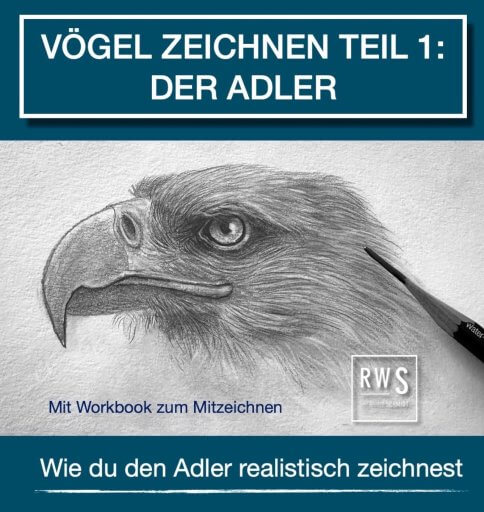 Vögel zeichnen