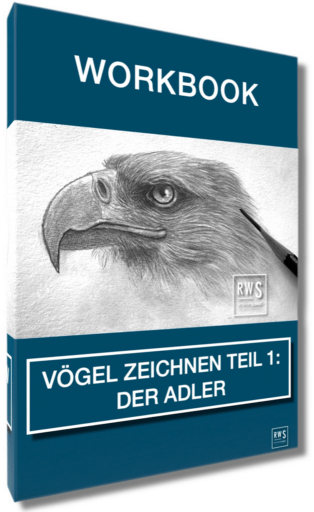 Workbook Adler
