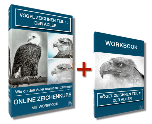 Vögel zeichnen, der Adler