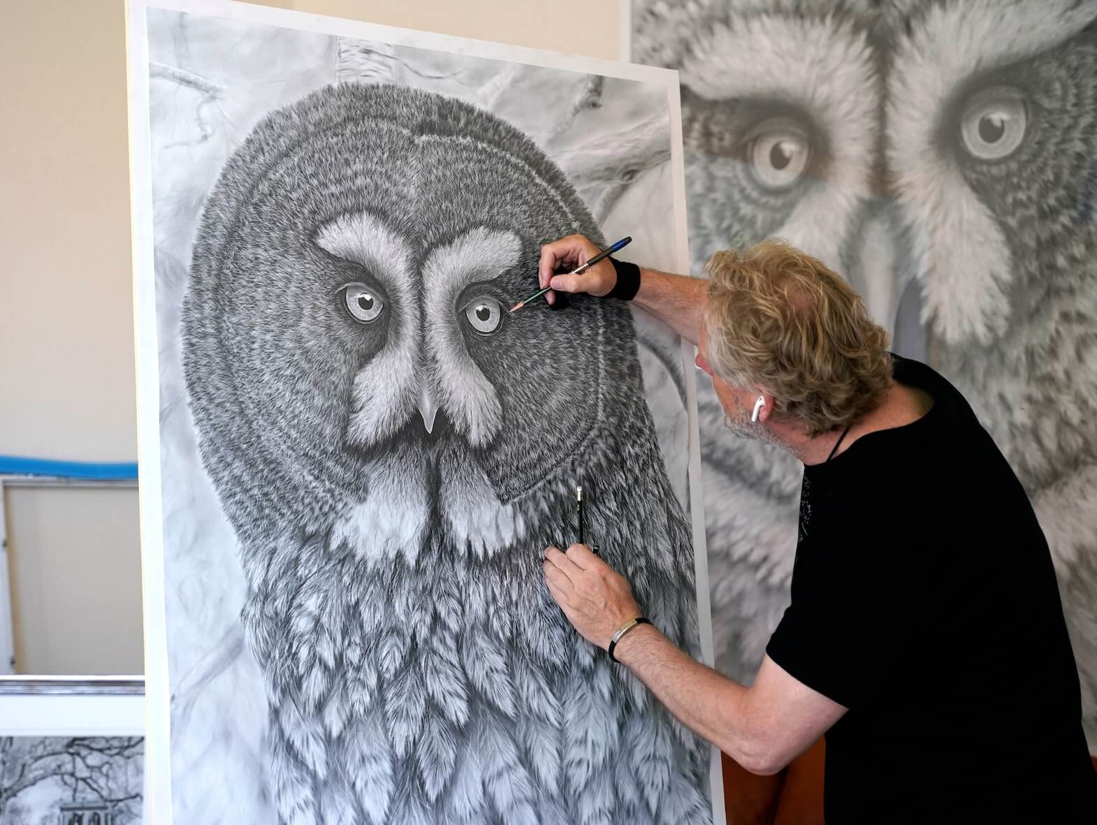 Eule realistisch zeichnen