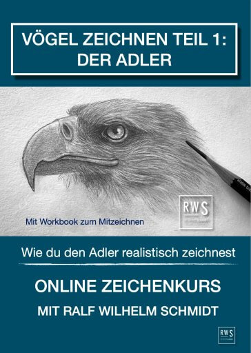 Vögel zeichnen Teil 1: Der Adler