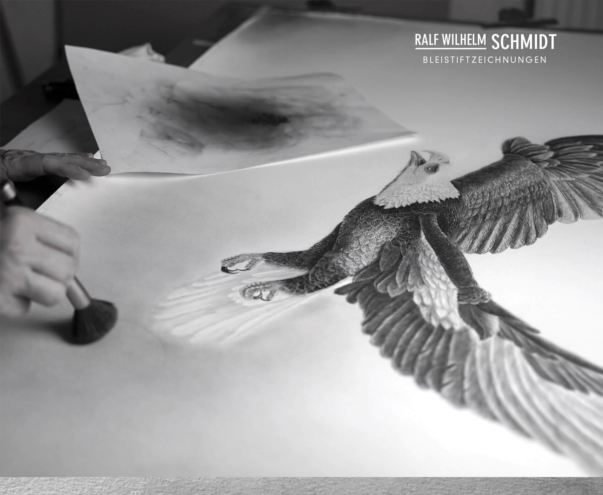 Vogel Adler zeichnen