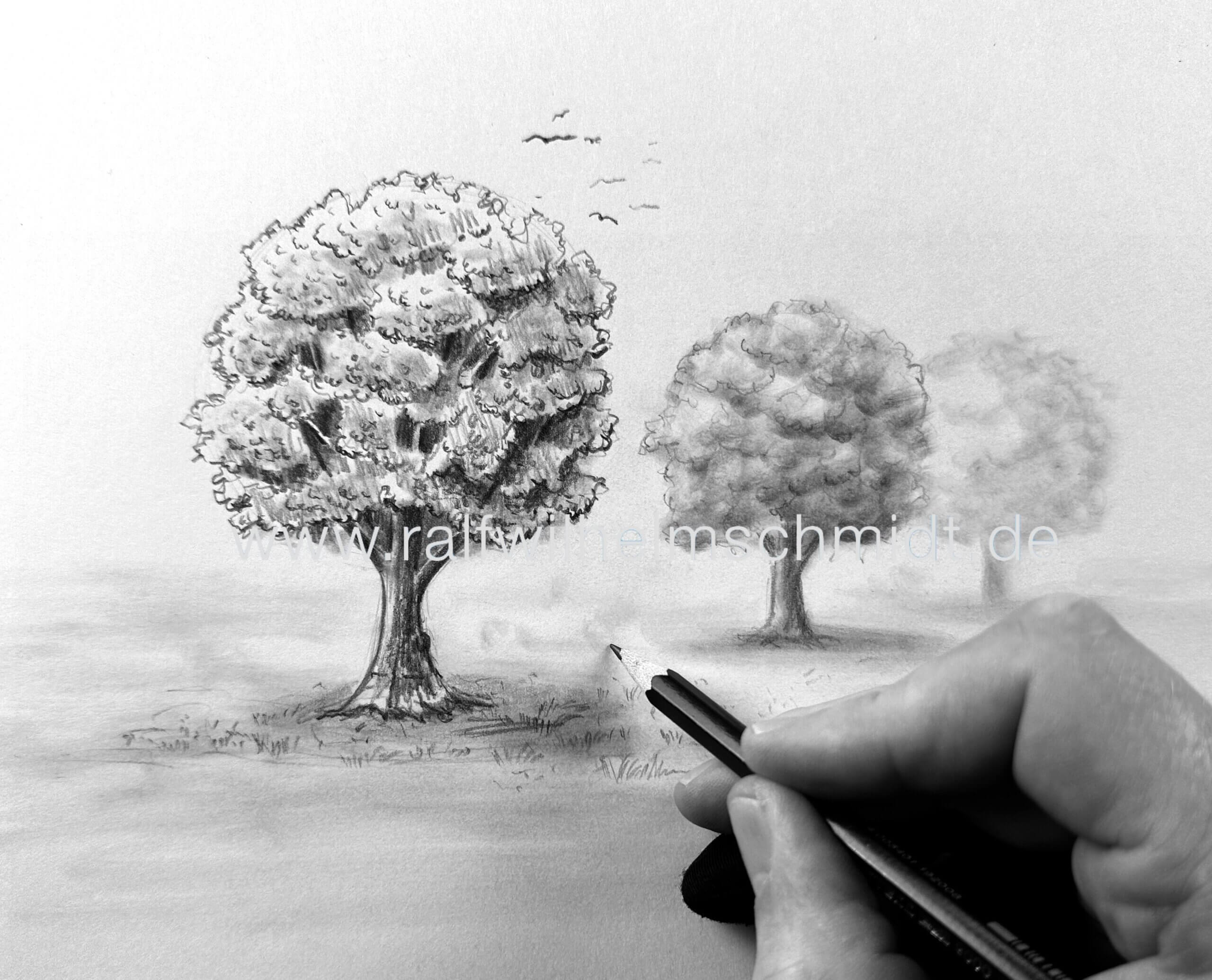 Baum realistisch zeichnen