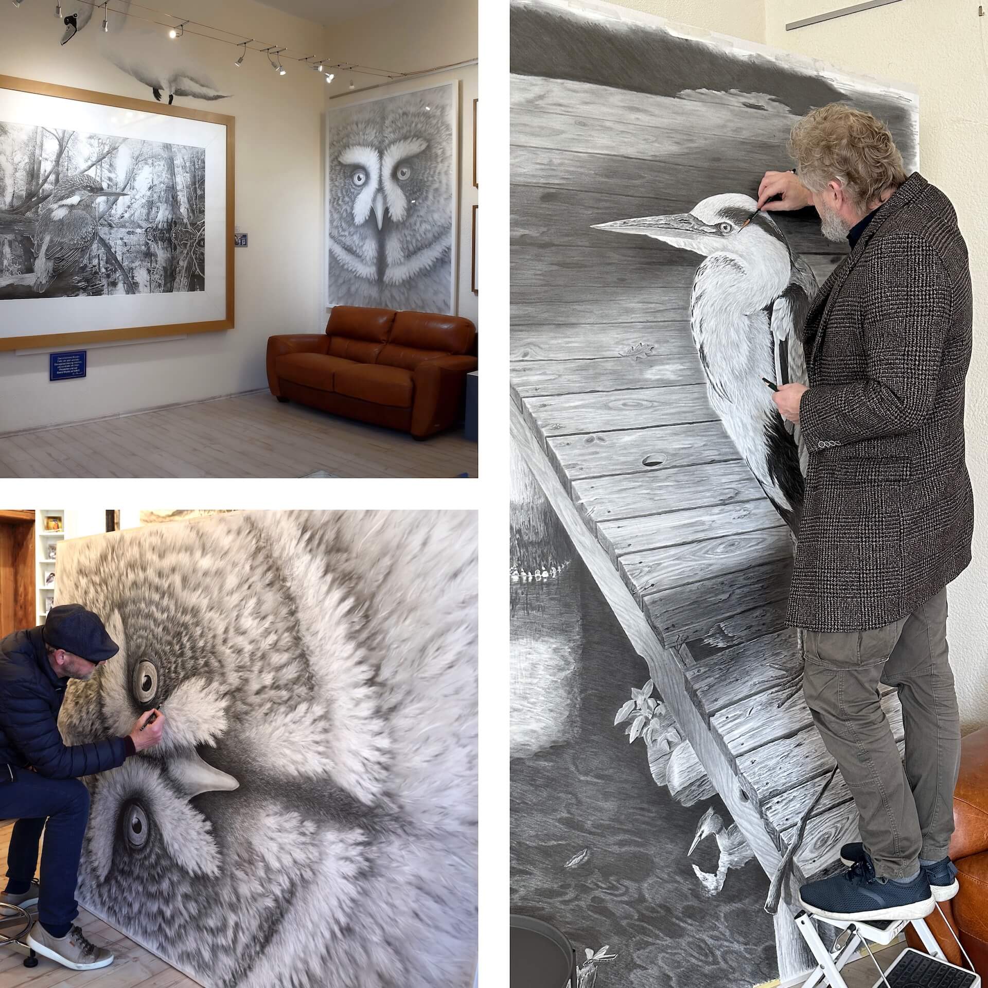 Augen zeichnen lernen-der Zeichenkurs