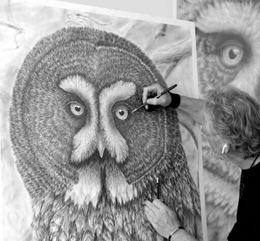 Eule Zeichnung von Ralf Wilhelm Schmidt