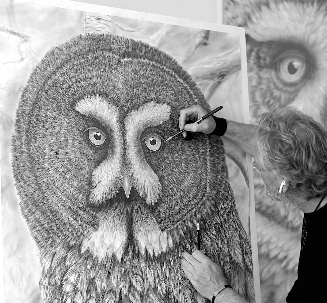 Eule Zeichnung von Ralf Wilhelm Schmidt