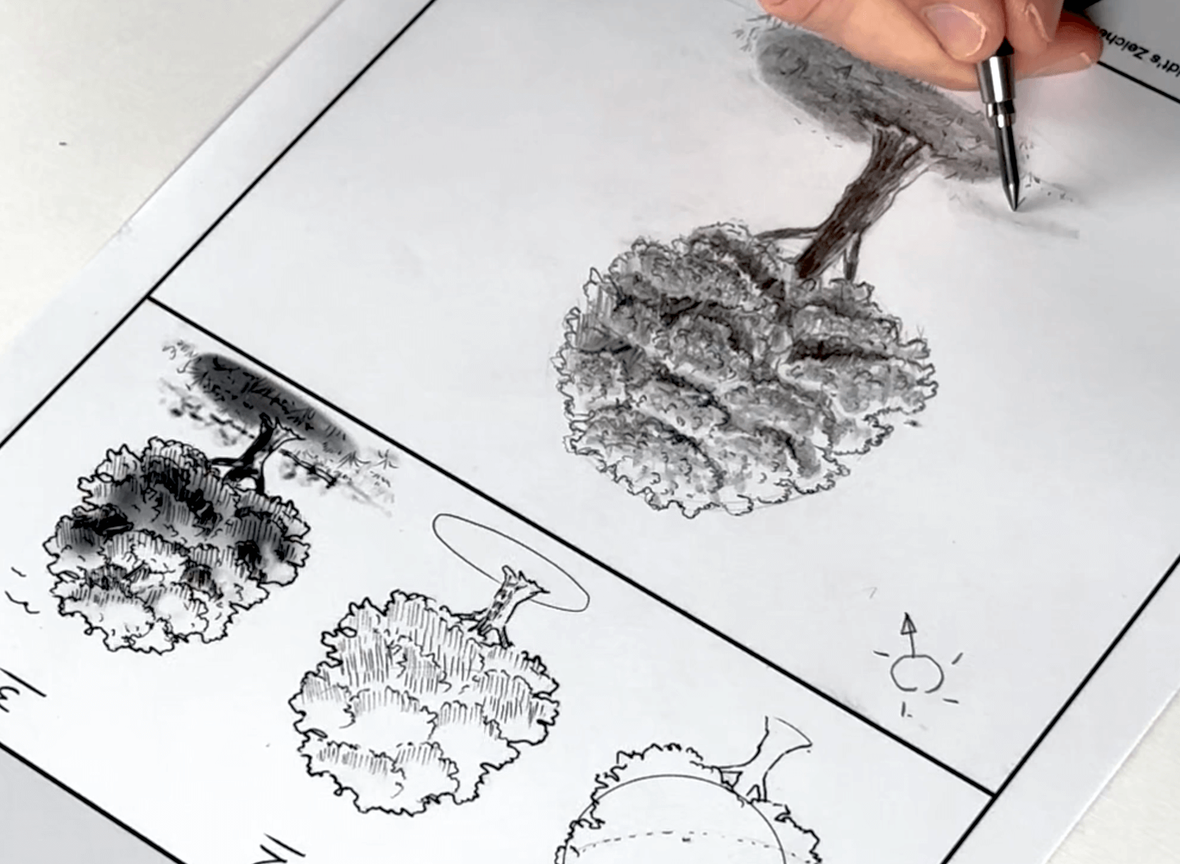 Baum zeichnen-Schmidts Zeichenwelt