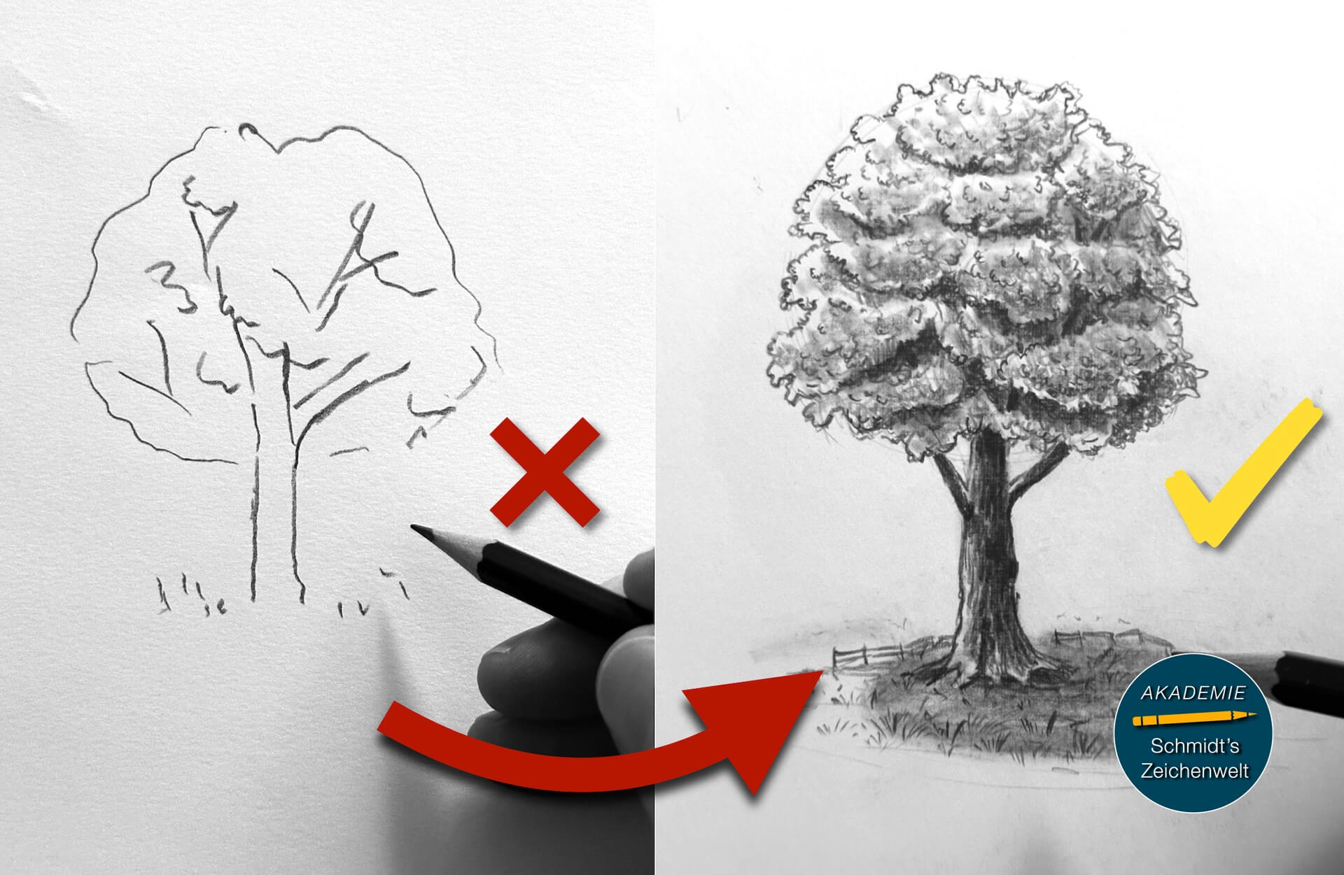 Bäume zeichnen-Akademie Schmidts Zeichenwelt
