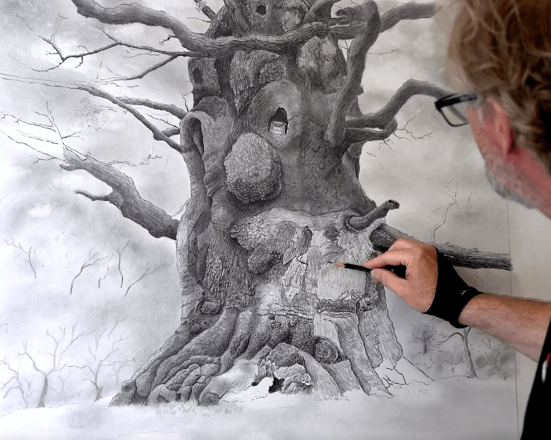 Bäume zeichnen lernen Schmidts Zeichenwelt