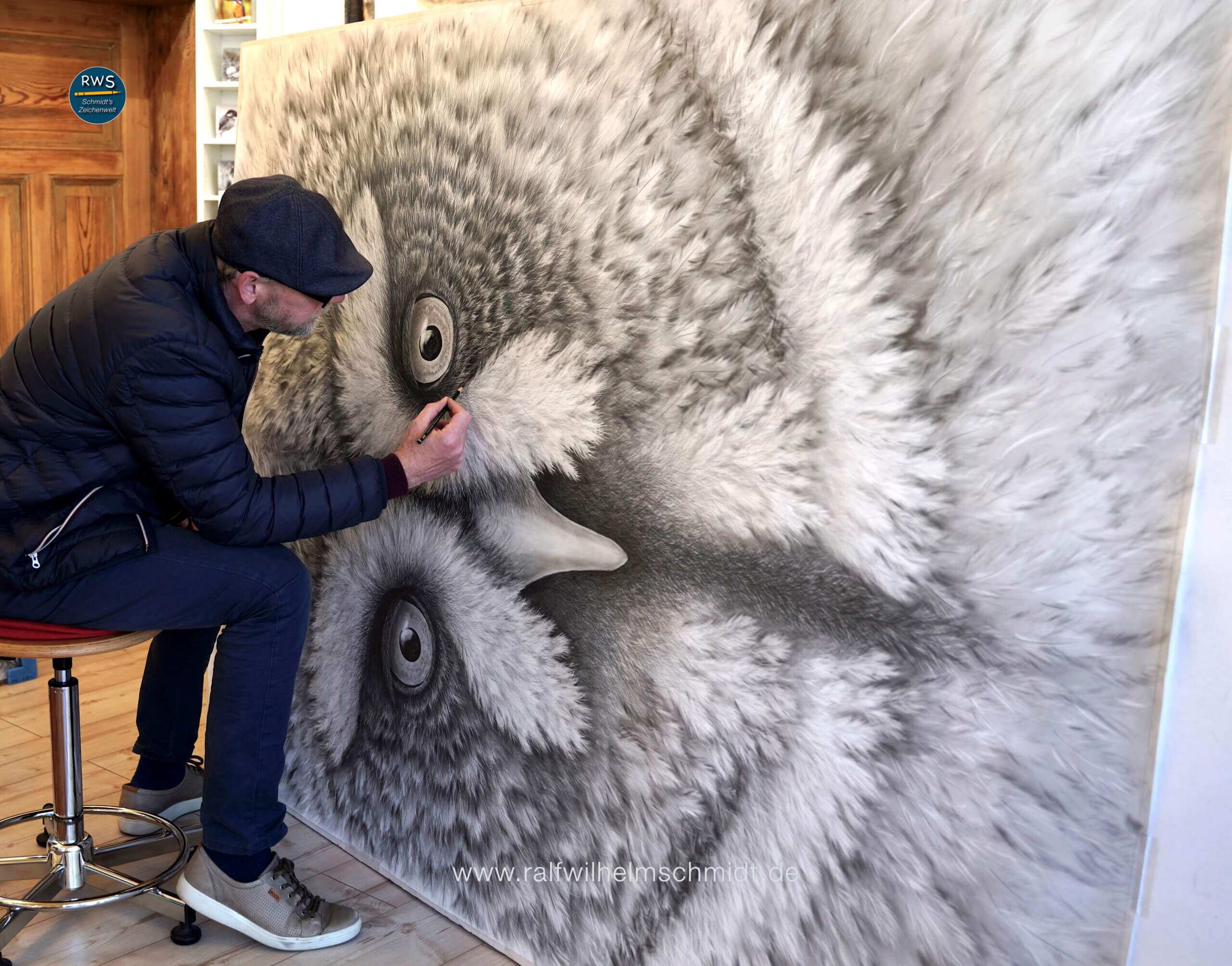 Bleistiftzeichnung Eule von Ralf Wilhelm Schmidt