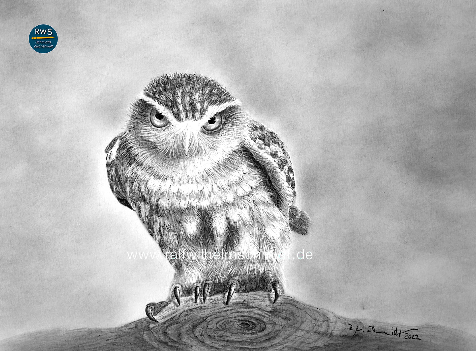 Eule zeichnen