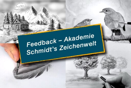 Feedback