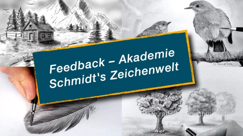 Feedback