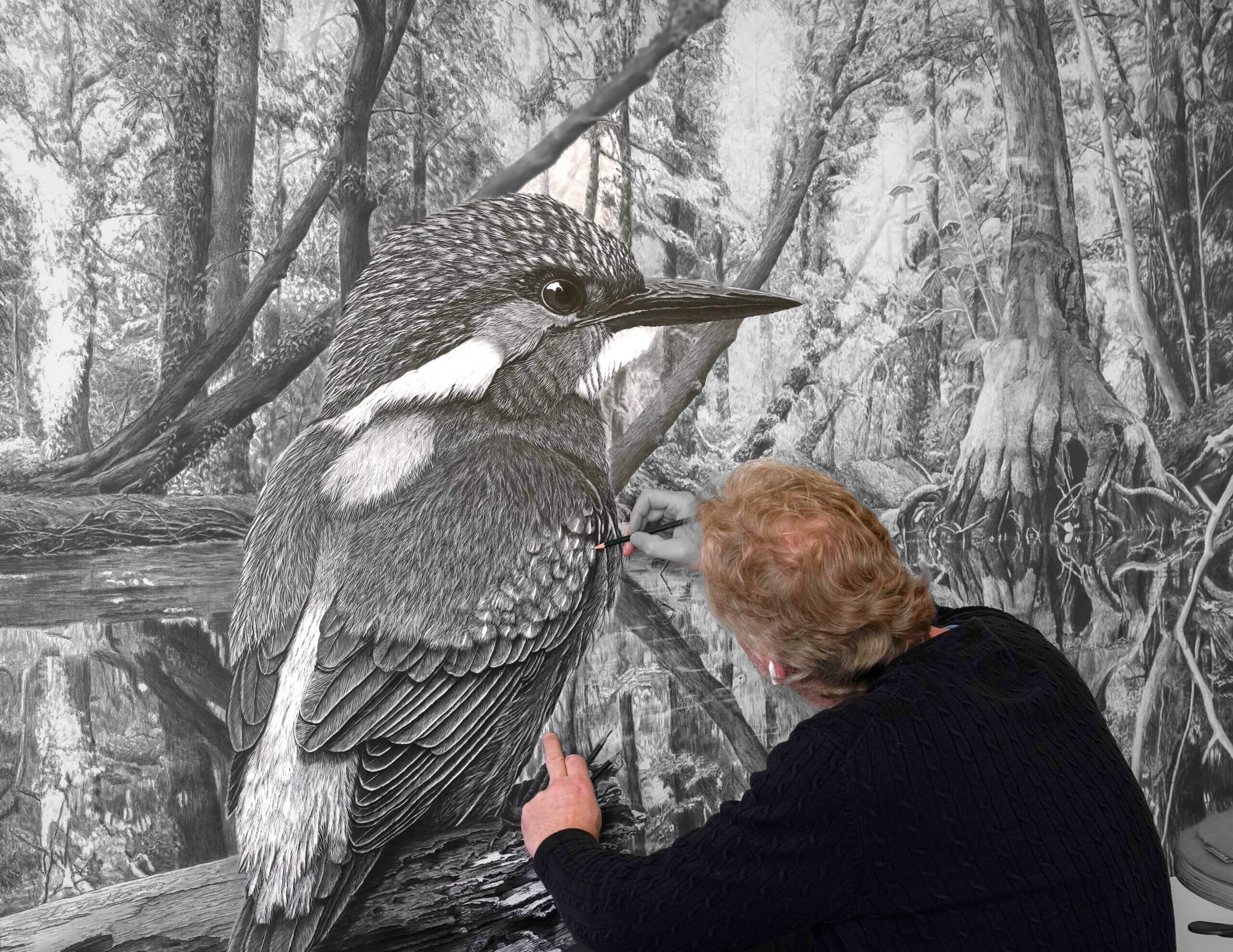 Eisvogel realistisch zeichnen