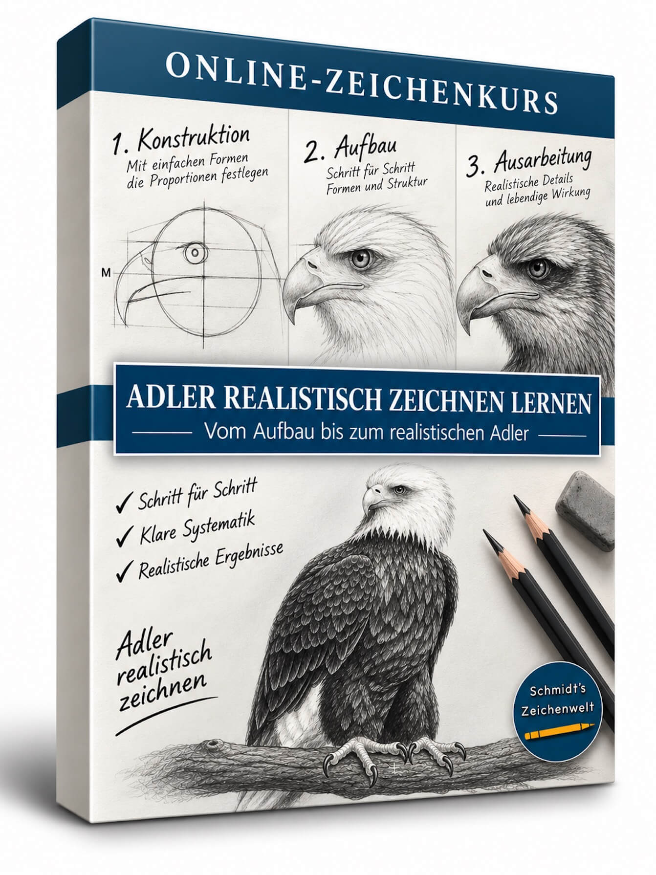 Adler zeichnen lernen-Zeichenkurs